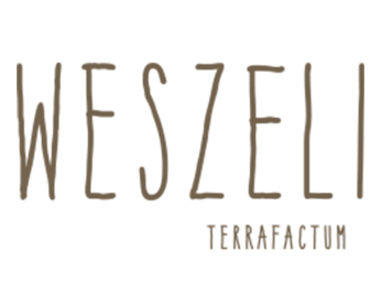 732302_WESZELI_LOGO.PNG