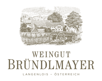 730203_BRÜNDLMAYER_LOGO.PNG