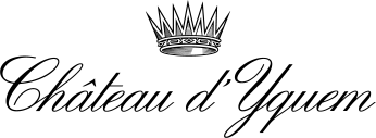732401_CHATEAU-YQUEM_LOGO.PNG