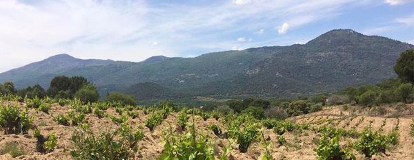 Bodegas Bernabeleva