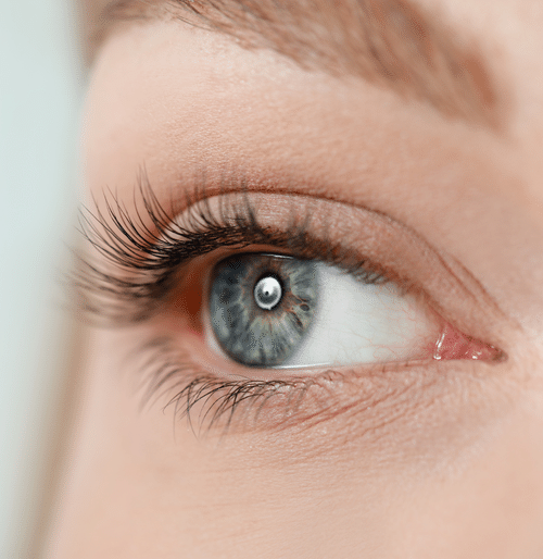 Gutschein für eine Wimpernlifting-Behandlung