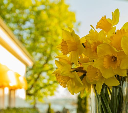 Gutschein für einen festlichen Osterbrunch