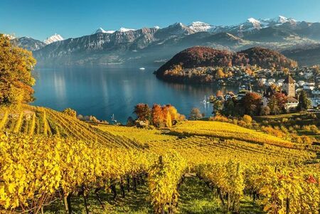Schloss Spiez - Schiff & Schloss & Wein